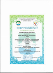 сертификат участника 1 муниципального образовательного форума "десятилетие детства: образование доступное всем" проект "невидимый мир"